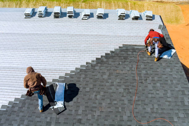 Best Roof Insulation Installation  in Wenona, IL