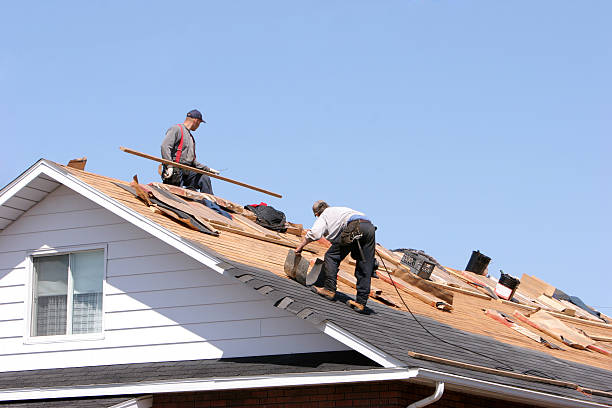 Best Flat Roofing  in Wenona, IL